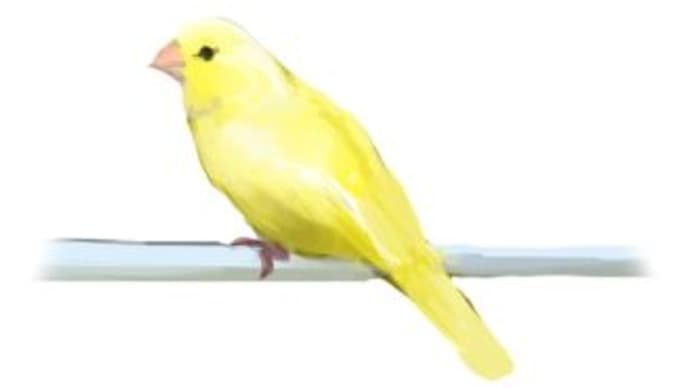 カナリア
