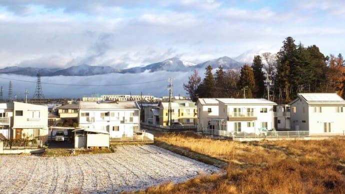 冬景色　電線消去　＆　夕日に映えた　雪の並木道を散歩猫