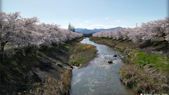 きょうの散歩道