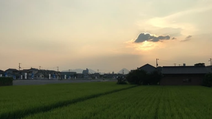 私の仕事