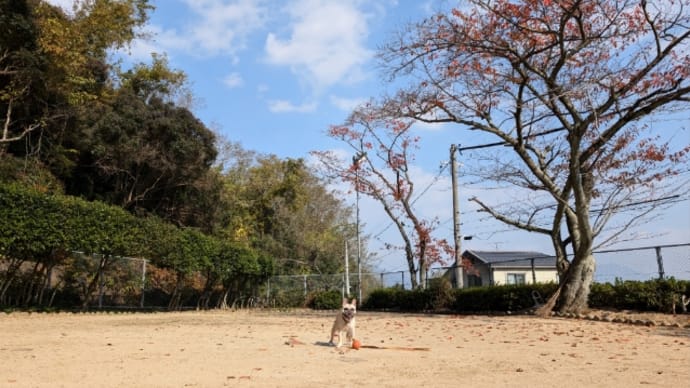 休むと長い日記