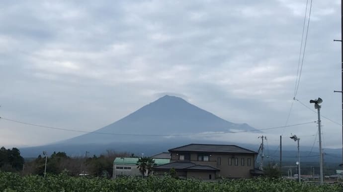 病院の周囲に咲いていた花