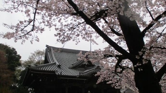 雨の御滝不動尊