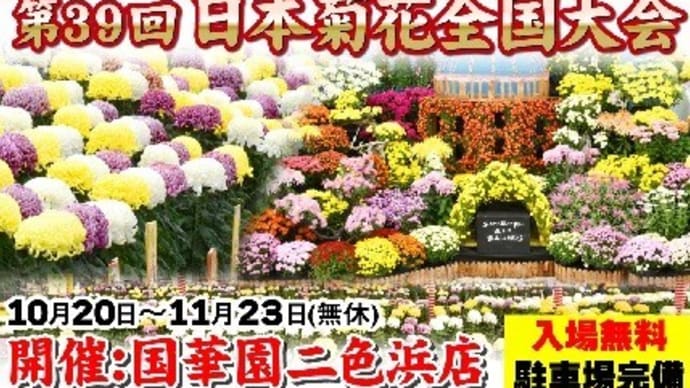 日本菊花全国大会