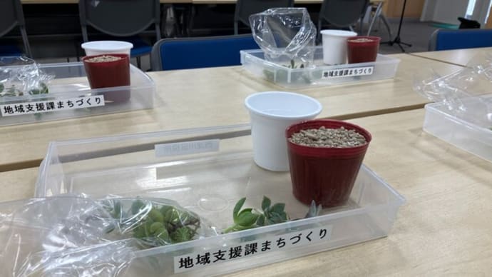 園芸セミナー ~多肉植物の寄せ植え体験~