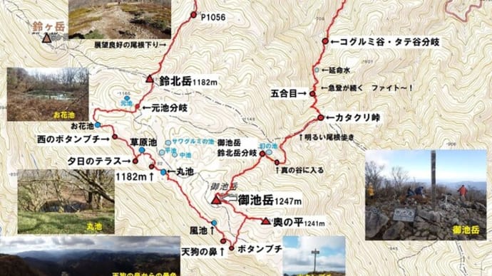 御池岳の周遊 コグルミ谷編