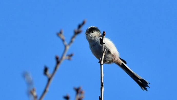 隣町の公園 SGMH その2