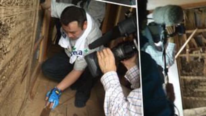 大脇シロアリ The white ant extermination in出水市知識町 しろあり女王と巣