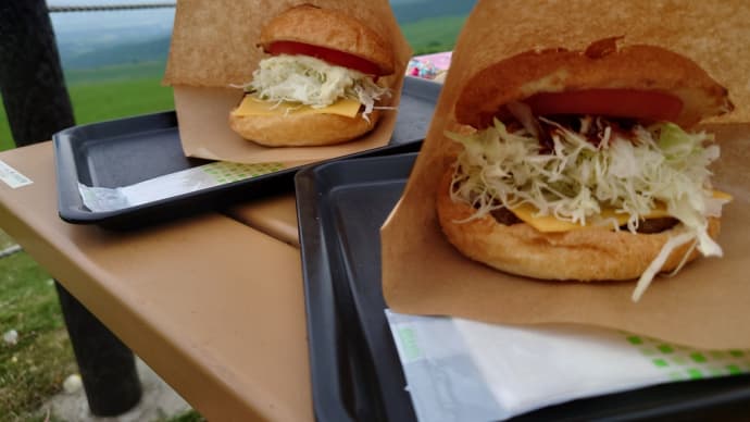 北の大地でよっつめハンバーガーどうでしょう