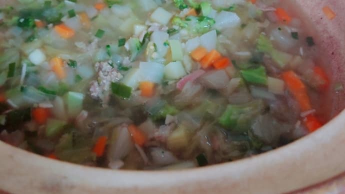 素人 介護飯 てこちゃん専用 入れ歯ごはん3