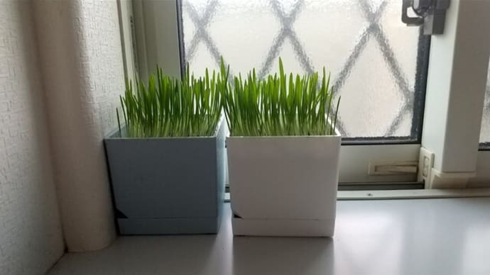 グッと秋らしく。