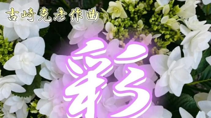 お琴の勉強会で『彩 』を合奏しました♪ 紫陽花によせて