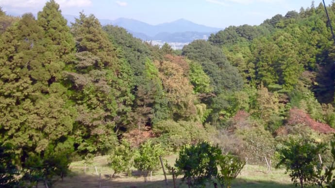 秋の里山ハイキング