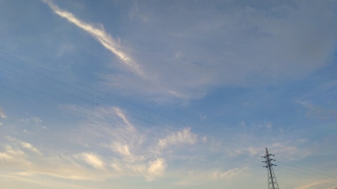 ちっちゃいカエルの空