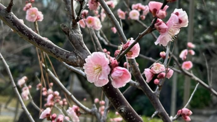 3月の営業日のお知らせなど