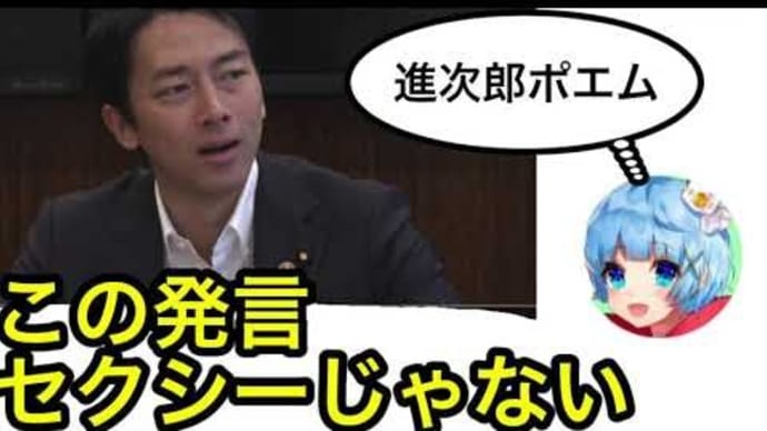 TVでは絶対言えない!【個人情報保護法は小泉純一郎のため?】知られざる元内閣総理大臣の素顔・・・True or Not