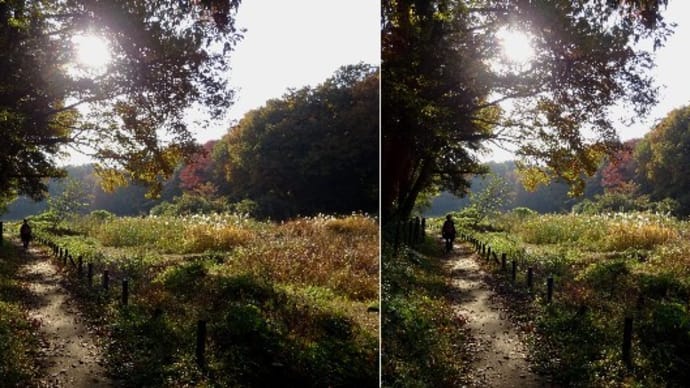 野山北・六道山公園