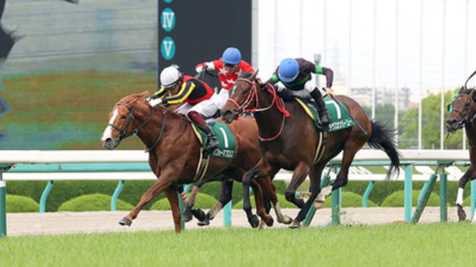 【予想】 第74回 鳴尾記念 G3