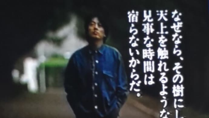 美しい歳月。沢田研二は一本の樹である⑦
