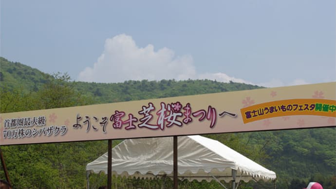 富士芝桜