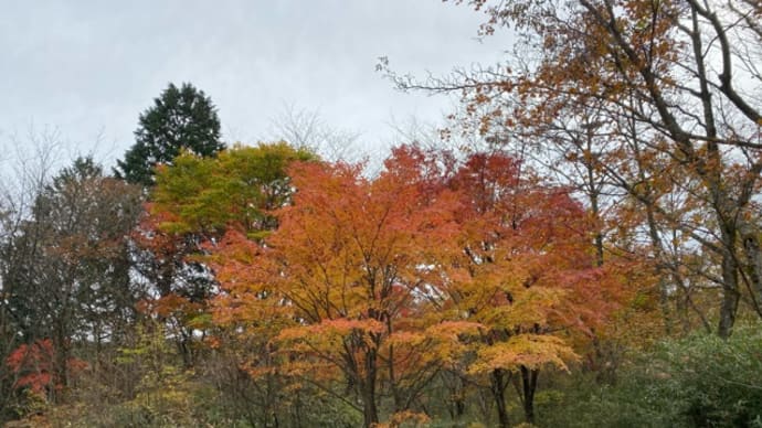 秋の風景