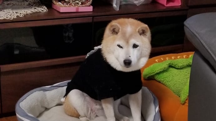 2022年になりました~happy new year