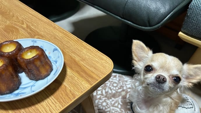 こととカヌレ。