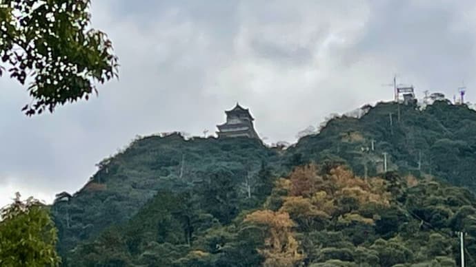 岐阜公園の紅葉
