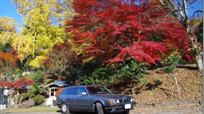 高尾の紅葉(観栖寺)