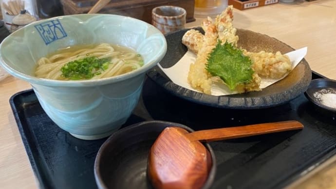 本格手打うどん大河　ー　天ぷらもうどんも美味しい！「大河盛うどん」　ー