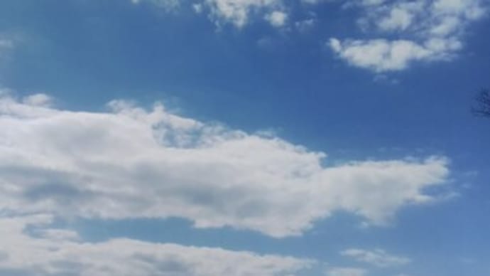 つくし