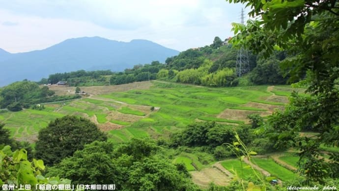 信州・上田 稲倉の棚田は……!