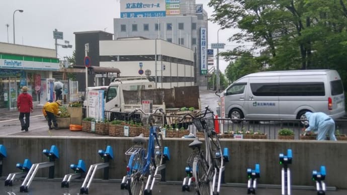 栂・美木多駅前花壇 撤去&花植え作業 ~緊急事態宣言発令中~