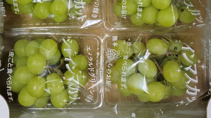誕生日プレゼントをいただきました。いつもありがとうございます。【福岡市の社交ダンススクールライジングスター】
