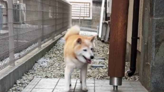 クリンへの想いは尽きなくて・・・47