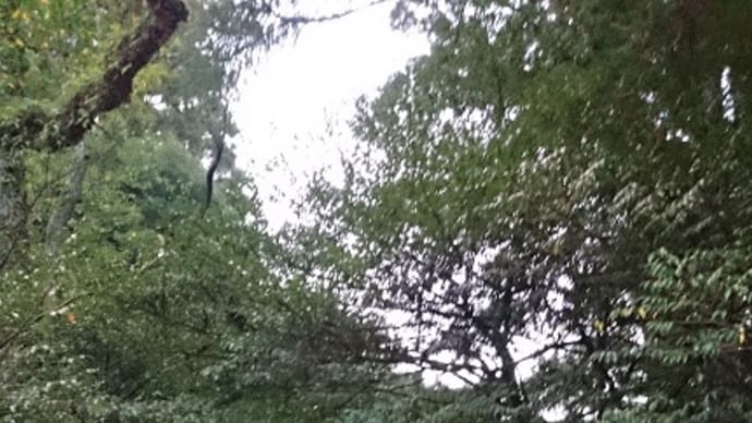 天河神社とみたらい溪