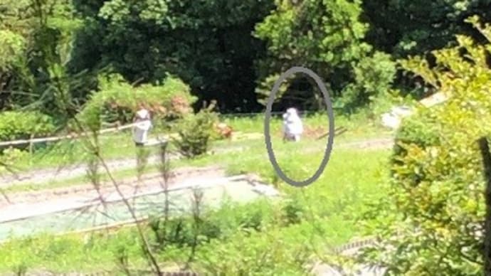 妹農婦は元気です