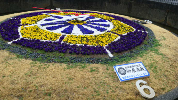 岡崎城跡の岡崎公園 散策記 on 2025-3-11 その10 花時計と「からくり時計」