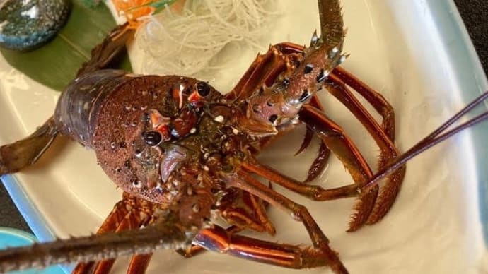 鯛や伊勢海老や牛の踊り喰い?夏の終わり