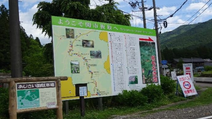 名もなき池(モネの池)