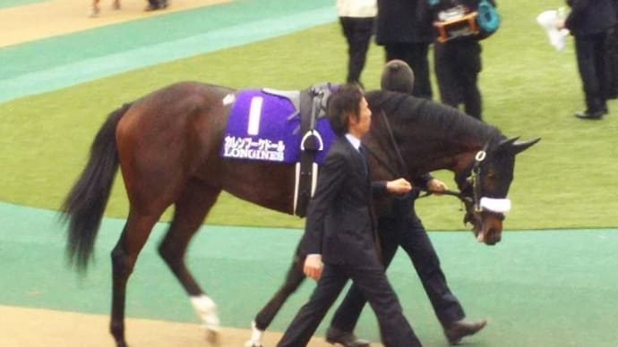 👑🐴宝塚記念2021 ファン投票結果&予想☆