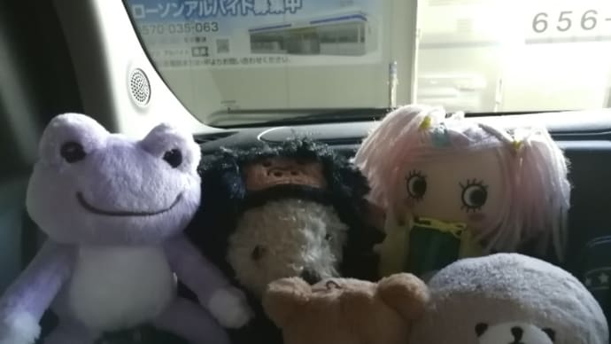 タコスケ退院後の初仕事