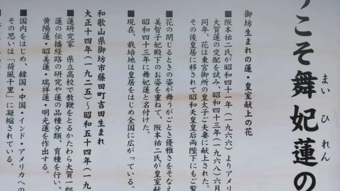 【NPO法人北吉田蓮の郷】