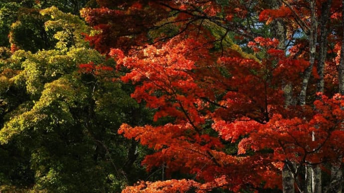 原村の.....秋景