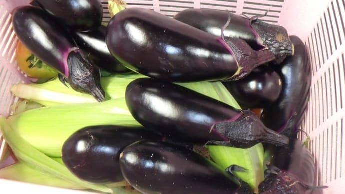 野菜を食べる