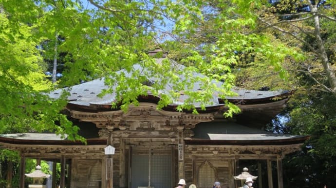 2023年4月極楽寺、極楽寺山・屋代コースと蛇の池トレッキング