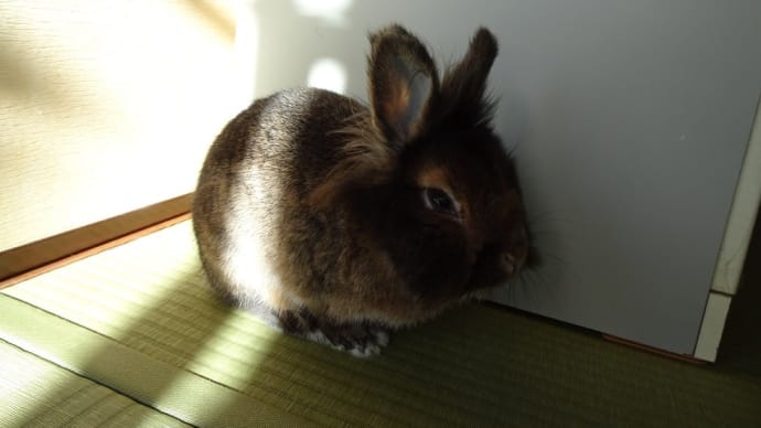 日向ぼっこ♪