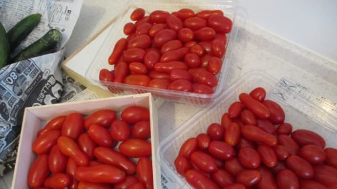 北海道から野菜のお便り届きました~第2弾