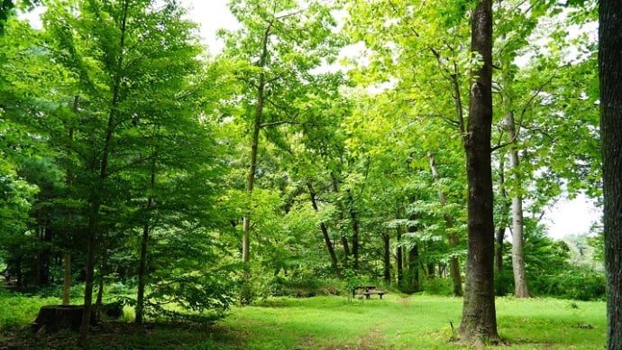 遺された家族のために、必ずやっておきたい「デジタル終活」、79歳の私は学び・・。