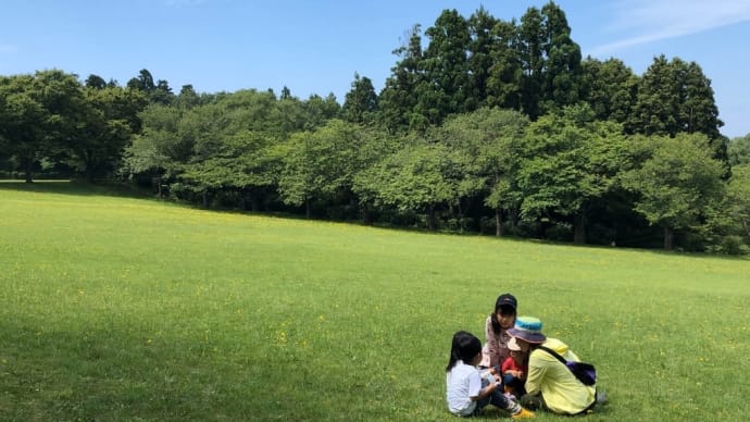 自然遊び親子サークル「森の木の子」6月新規メンバー募集！！